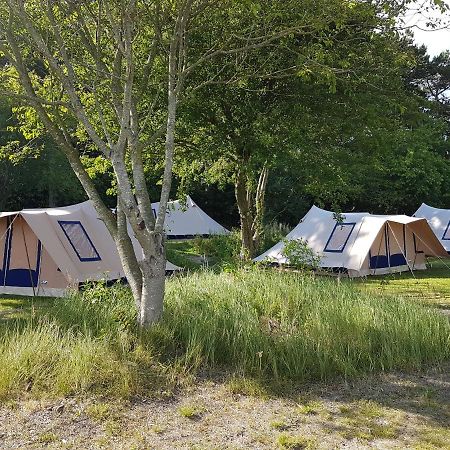 Ameland Tentenverhuur Нес Екстериор снимка