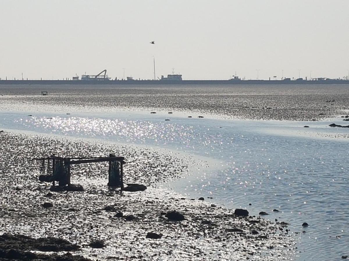 Ameland Tentenverhuur Нес Екстериор снимка